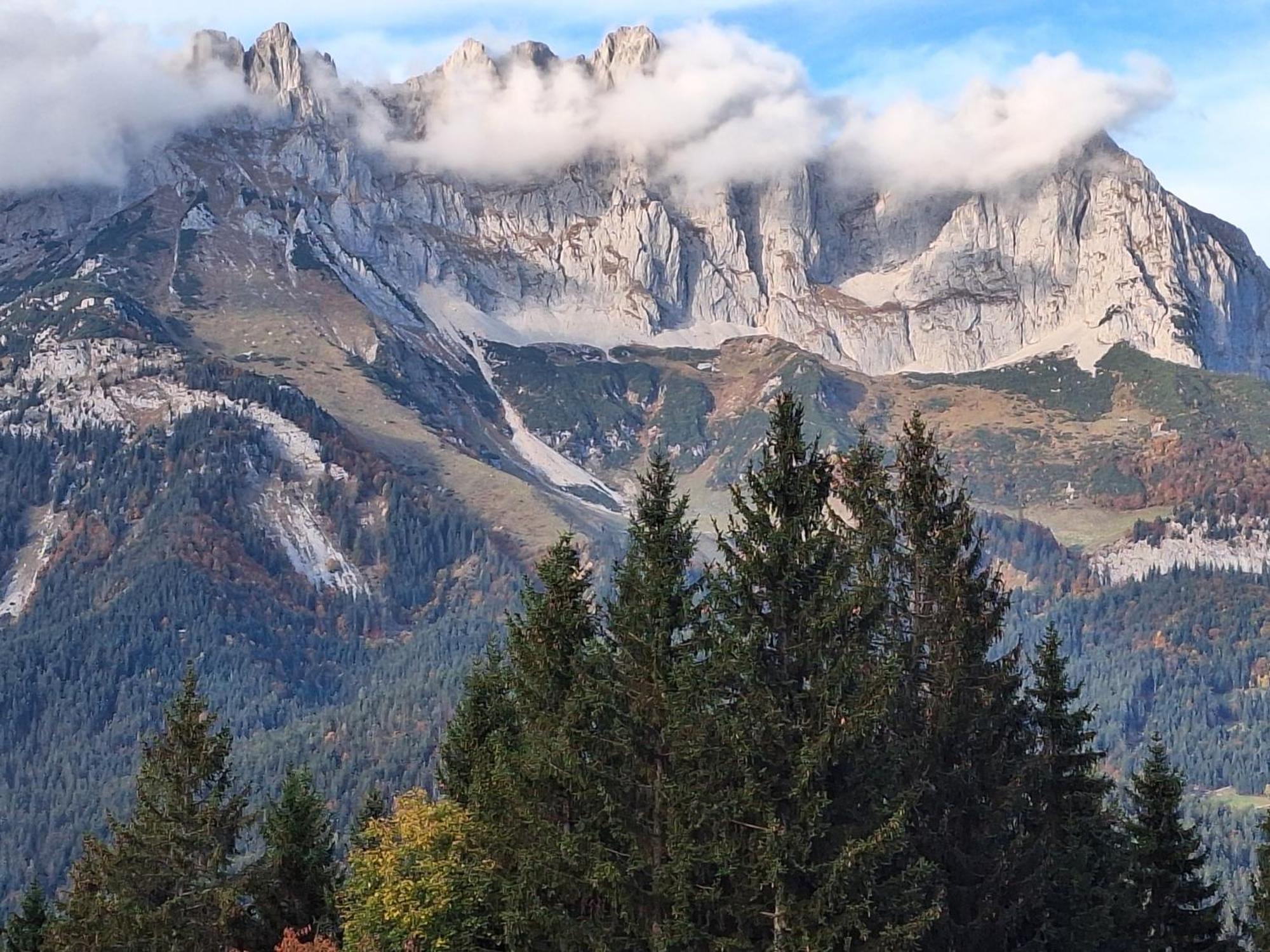 Apartment Unterhollenau Going am Wilden Kaiser Екстериор снимка